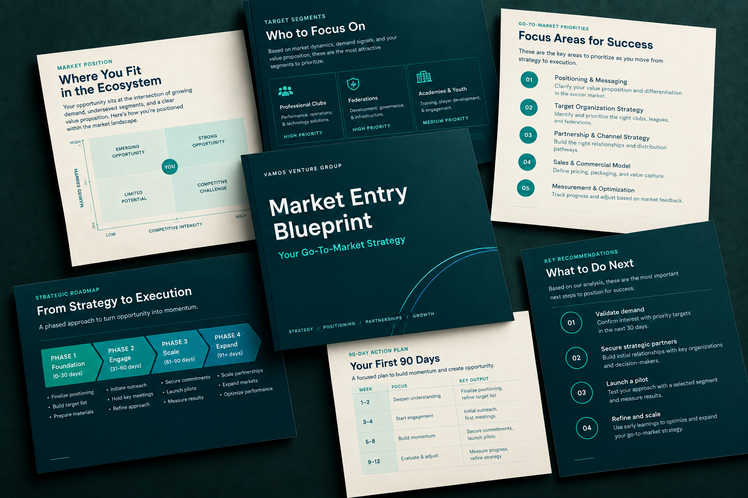 Example of a VVG Market Entry Blueprint